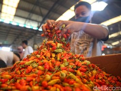 Sedih... Hari Pertama Puasa Harga Sembako Pada Mahal