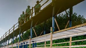 Kolaborasi Kurangi Dampak Abrasi di Pesisir Banten