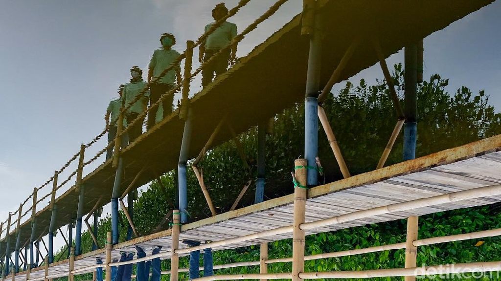 Kolaborasi Kurangi Dampak Abrasi di Pesisir Banten Kolaborasi Kurangi Dampak Abrasi di Pesisir Banten
