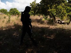 Tentara Mozambik Tembak Mati 10 Pemberontak!