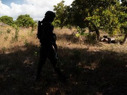 Tentara Mozambik Tembak Mati 10 Pemberontak!