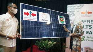 Pemanfaatan Energi Baru Terbarukan di Industri Pertanian
