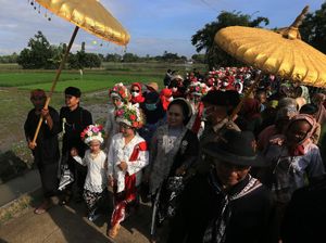 Melihat Upacara Adat Ngarot Jelang Musim Tanam Padi Melihat Upacara Adat Ngarot Jelang Musim Tanam Padi