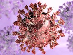 Didominasi 500 Varian Omicron, Corona Aktif di Kendari Tembus 706 Kasus