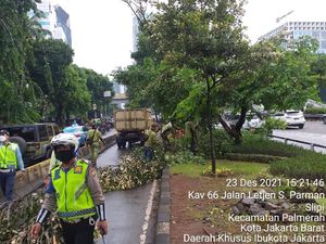 27 Pohon Tumbang di 25 Titik di Jakbar, Timpa Mobil-Tutupi Busway