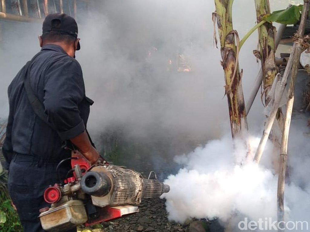 Bukan Omicron, Puluhan Warga Klaten Diserang Chikungunya