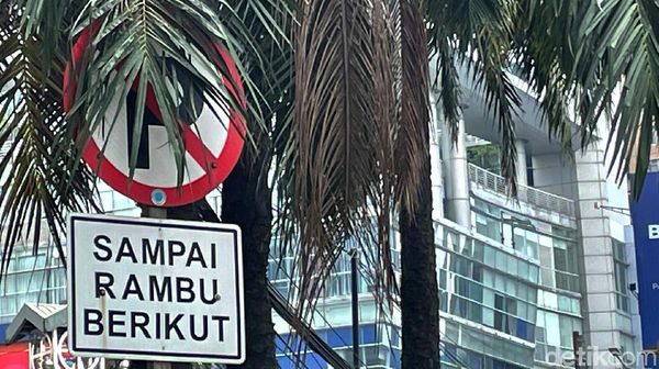 Duh, Rambu Lalu Lintas Terhalang Dedaunan di Tanah Abang