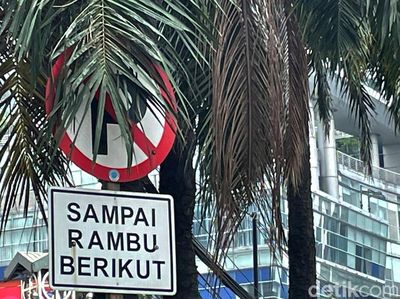 Duh, Rambu Lalu Lintas Terhalang Dedaunan di Tanah Abang