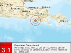 Gempa Bumi M 3,1 Guncang Jember