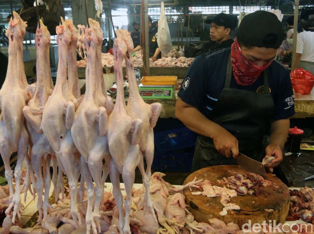 Harga Pangan di Denpasar Sore Ini: Daging Ayam Rp 35 Ribu