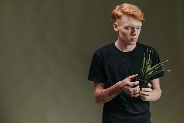 Lidah buaya sebagai bahan pelembap alami untuk semua jenis kulit/ Foto: Pexels.com/ROCKETMANN TEAM