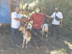 Begini Cara Pemdes Selur Ponorogo Wujudkan Ketahanan Pangan Petani