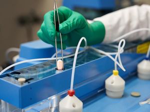 Korsel Restui Pil Paxlovid Pfizer Jadi Obat Oral Covid-19 Pertama