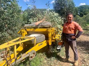 Petani di Australia Mencoba Kemungkinan Pembangkit Listrik dari Pohon