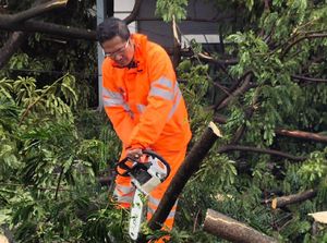 Petugas Masih Evakuasi Pohon yang Timpa 2 Mobil Dekat GOR Dimyati Tangerang