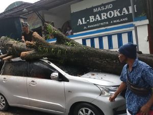 Hujan Es Disertai Angin Kencang Kota Malang Tumbangkan Pohon di 9 Titik Hujan Es Disertai Angin Kencang Kota Malang Tumbangkan Pohon di 9 Titik
