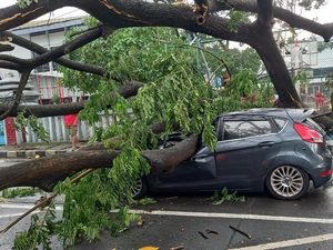 Momen Angin Kencang Bikin Pohon Tumbang Timpa Mobil di Tangerang