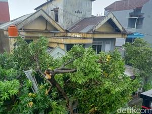 Hujan Deras-Angin Kencang, Pohon Tumbang Timpa Rumah Warga di Makassar