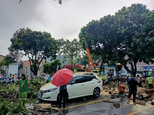 Pohon Tumbang Timpa 2 Mobil di Parkiran RS Pelni Jakbar