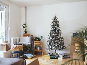 Sejarah Pohon Natal di Berbagai Negara, Bagaimana Awalnya? Sejarah Pohon Natal di Berbagai Negara, Bagaimana Awalnya?