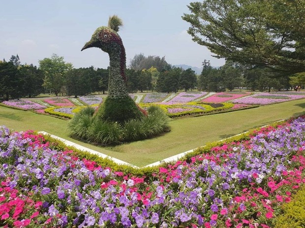 5 Taman Bunga di Indonesia paling mempesona