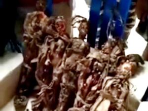 Merinding! Warga Temukan 5 Benda Mirip Jenglot Saat Gali Kuburan di Sulsel