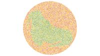 Tebak Gambar Hewan, Cuma yang Matanya Sempurna Melihat Warna Bisa Jawab