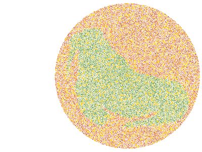 Tebak Gambar Hewan, Cuma yang Matanya Sempurna Melihat Warna Bisa Jawab