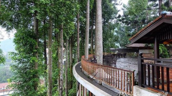 Sejuk Banget! 10 Kafe di Bogor Ini Dikelilingi Pepohonan Rindang