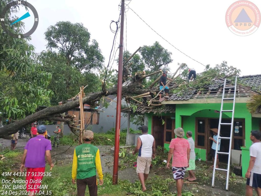 Hujan Disertai Angin di Sleman, Pohon Tumbang Timpa Rumah