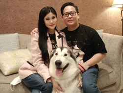 Model Klaviera Punya Banyak Anjing, Suami Khawatirkan Furniture Rumah