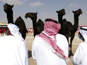 WHO Wanti-wanti Penularan MERS-CoV di Arab Saudi Jelang Musim Haji 2024 WHO Wanti-wanti Penularan MERS-CoV di Arab Saudi Jelang Musim Haji 2024