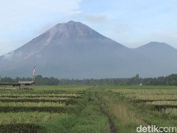 Gunung Semeru Masih Berstatus Siaga