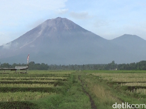 Semeru Masih Siaga, Jarak Aman Tetap 13 Km