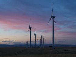 RI Mau Capai Emisi Nol Bersih Pada 2060 Ini Tantangannya