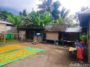 Industri Kerupuk Rumahan dan Racikan Kopi Khas Desa Tetebatu Industri Kerupuk Rumahan dan Racikan Kopi Khas Desa Tetebatu