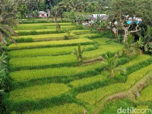 Terpesona dengan Tetebatu, Desa Wisata Terindah Dunia! Terpesona dengan Tetebatu, Desa Wisata Terindah Dunia!