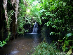 Keindahan Alam Air Terjun Tetebatu yang Jarang Dikunjungi Wisatawan