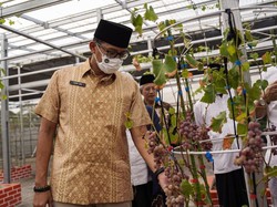 Arahan Wapres, Tanara Banten Jadi Wisata Religi