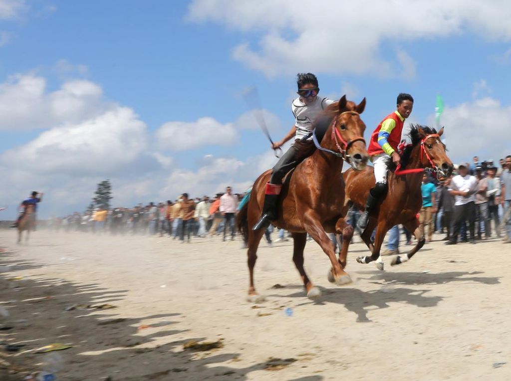 Adu Cepat Pacuan Kuda Tradisional Gayo di Aceh