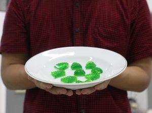 Dosen Ubaya Sulap Spirulina Jadi Gummy Candy yang Berkhasiat untuk Kesehatan Dosen Ubaya Sulap Spirulina Jadi Gummy Candy yang Berkhasiat untuk Kesehatan