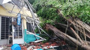 Angin Kencang di Pasuruan Tumbangkan Belasan Pohon