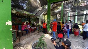 Libur Natal, Solo Zoo Diserbu Pengunjung