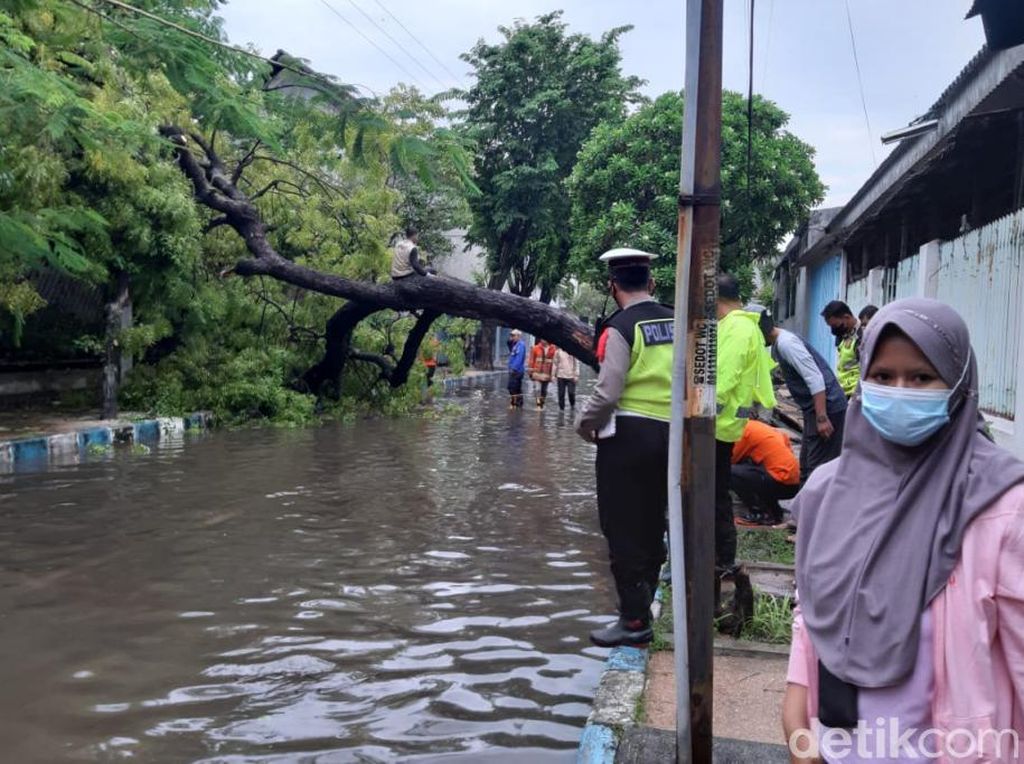 Gus Ipul Terjunkan Tim Reaksi Cepat Atasi Belasan Pohon Tumbang di Pasuruan
