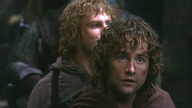 The Lord of the Rings: The Fellowship of the Ring The Lord of the Rings: The Fellowship of the Ring (2001)