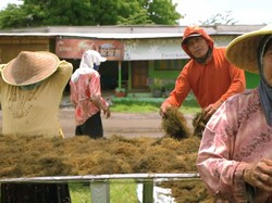 China Sampai Prancis Doyan Banget Rumput Laut RI, Nih Buktinya