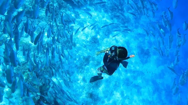Foto: Selami Keindahan Laut Maldives