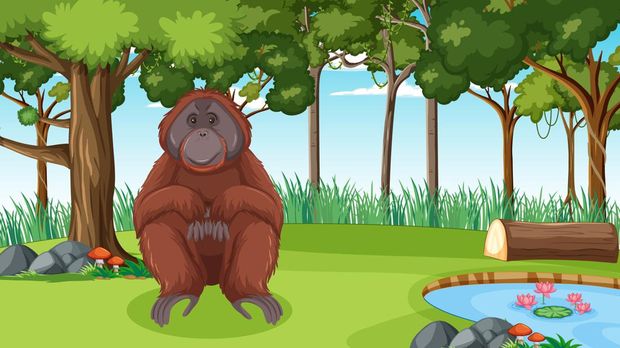 Ilustrasi orang utan