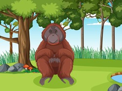 Karhutla Meluas di Kotim, 3 Orang Utan Diduga Masuk Kebun Warga