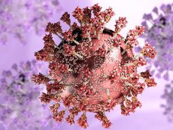 Pemkot Kendari Luruskan Walkot Soal 500 Warga Kena Omicron: Itu Probable